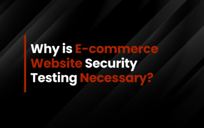 Why is E-commerce Website Security Testing Necessary?